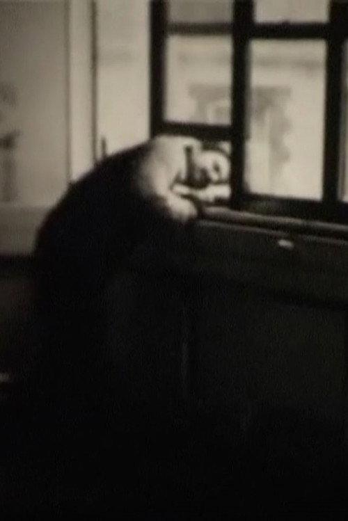 The Last Films of Humphrey Esterhase 2011 official movie poster
