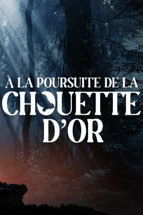 À la poursuite de la chouette d'or 2024 official movie poster