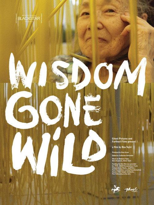 Wisdom Gone Wild 2022 official movie poster