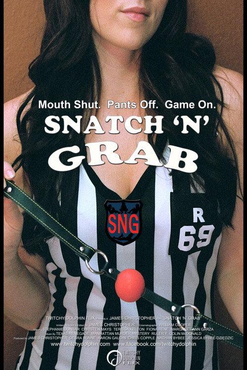 Snatch N Grab 2010 official movie poster