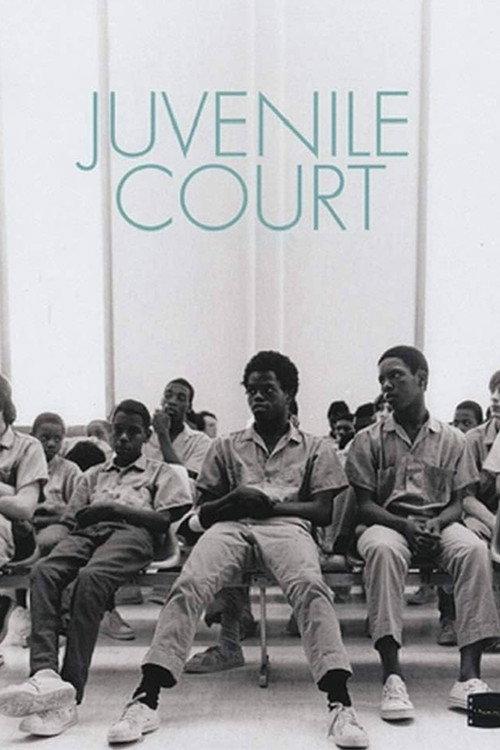 Juvenile Court 1973 official movie poster