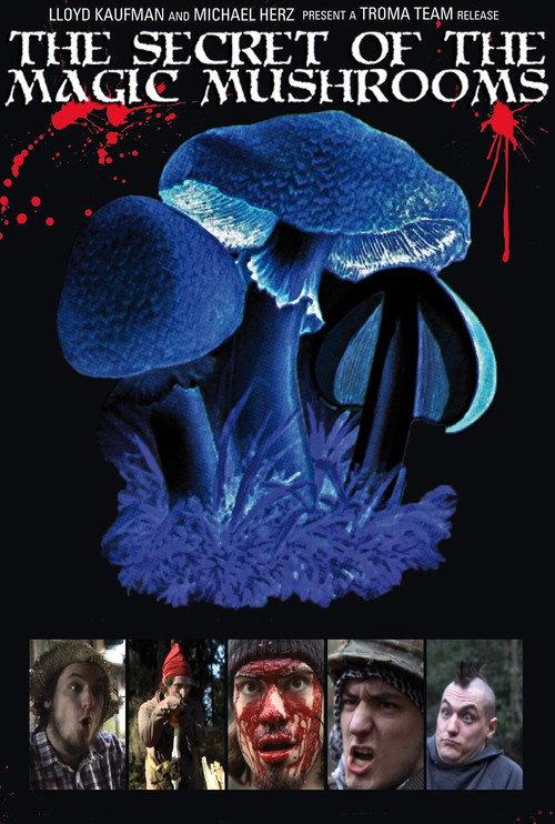 The Secret of the Magic Mushrooms 2009 official movie poster
