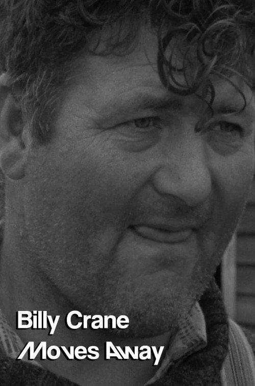 Billy Crane Moves Away 1967 official movie poster