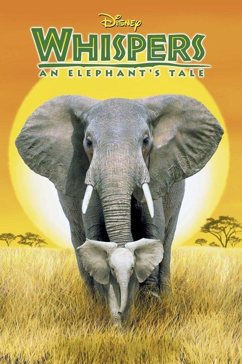 Whispers: An Elephant's Tale 2000 official movie poster