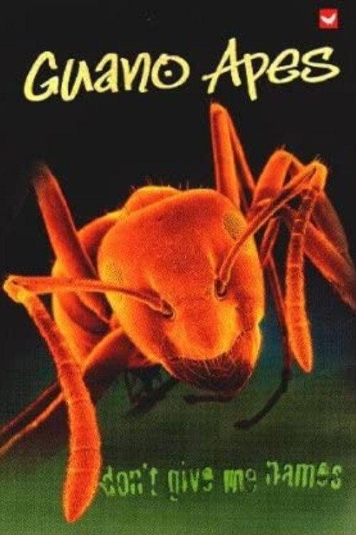 Guano Apes - Don't Give Me Names 2000 official movie poster