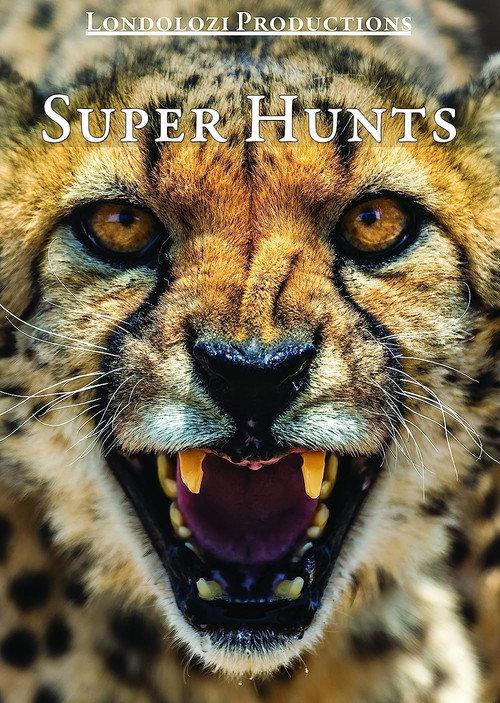 Super Hunts, Super Hunters 1995 official movie poster