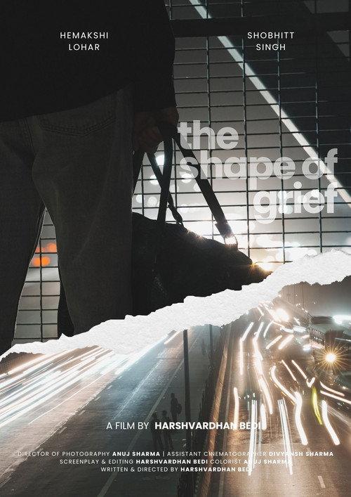 The Shape Of Grief 2026 official movie poster