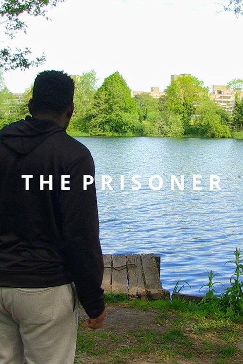 The Prisoner 2026 official movie poster