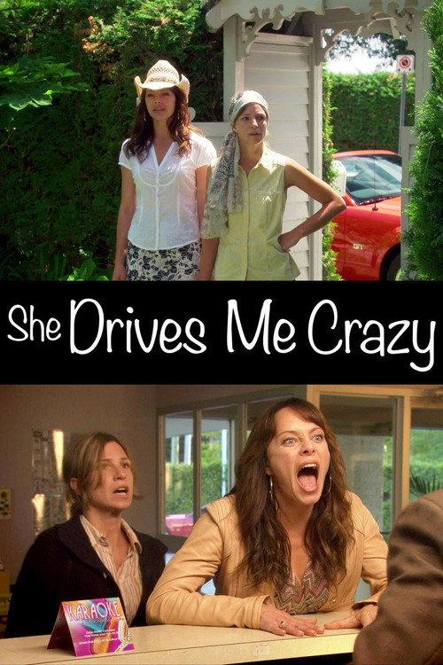 She Drives Me Crazy 2007 official movie poster