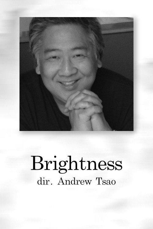 Brightness 2001 official movie poster