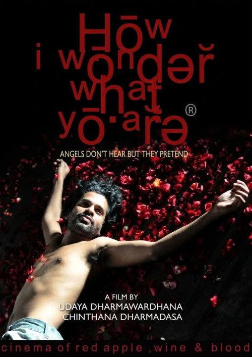 How I Wonder What You Are 2010 official movie poster
