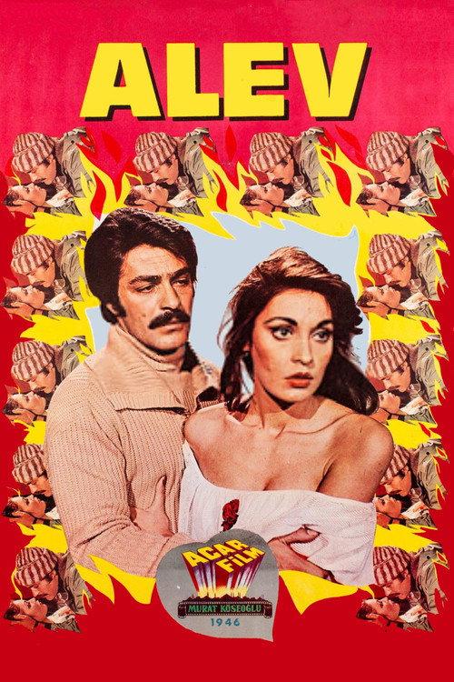 Alev 1976 official movie poster