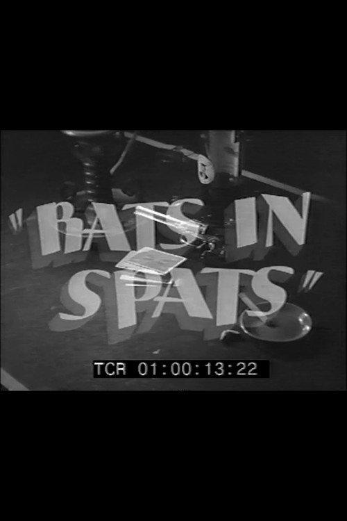 Rats in Spats 1941 official movie poster