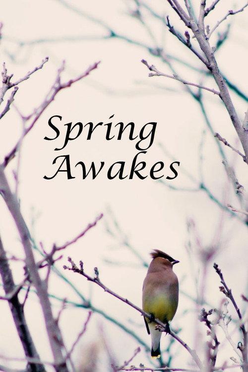 Spring Awakes  official movie poster
