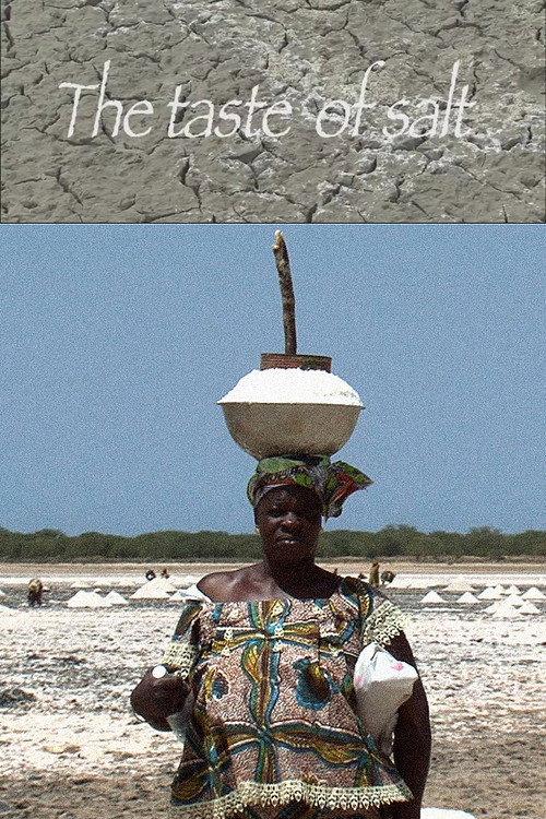 The Taste of Salt 2011 official movie poster