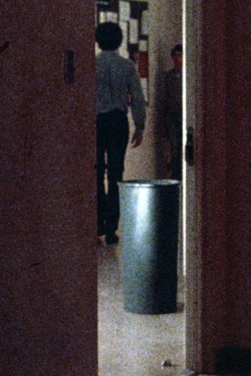 Plausible Light Source 1976 official movie poster
