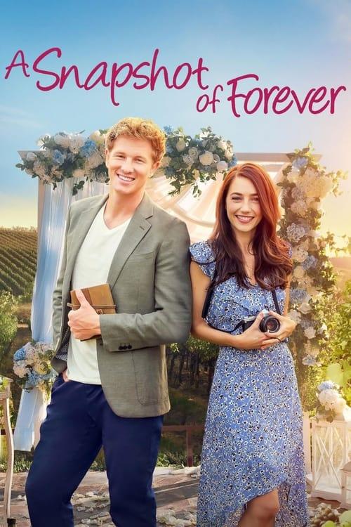 A Snapshot of Forever 2022 official movie poster