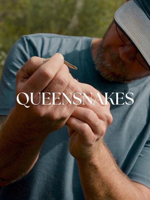 Queensnakes 2024 official movie poster