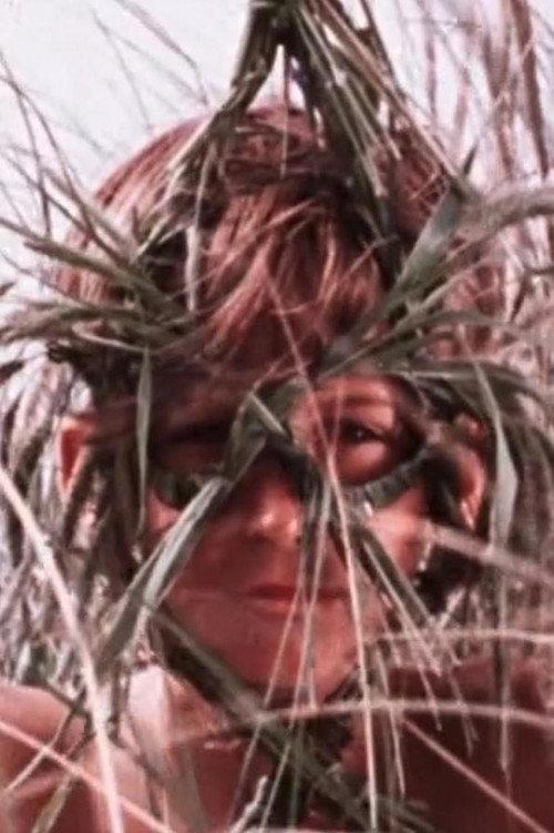 Masks Of Grass 1975 official movie poster