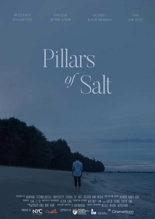 Pillars of Salt 2021 official movie poster