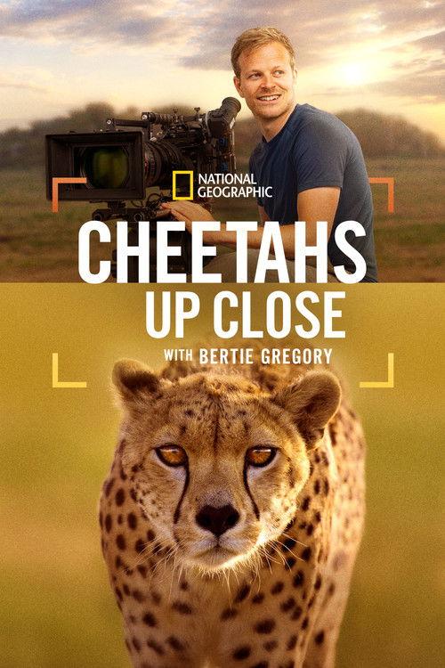 Cheetahs Up Close with Bertie Gregory 2026 official movie poster