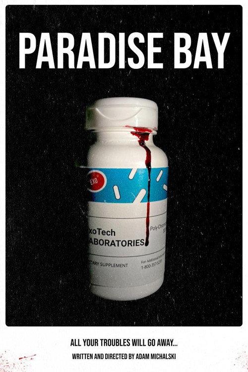 Paradise Bay 2023 official movie poster