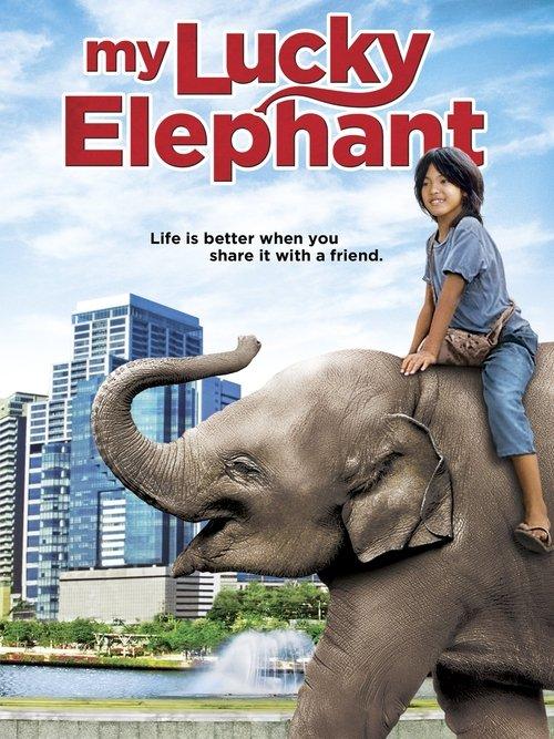 My Lucky Elephant 2013 official movie poster