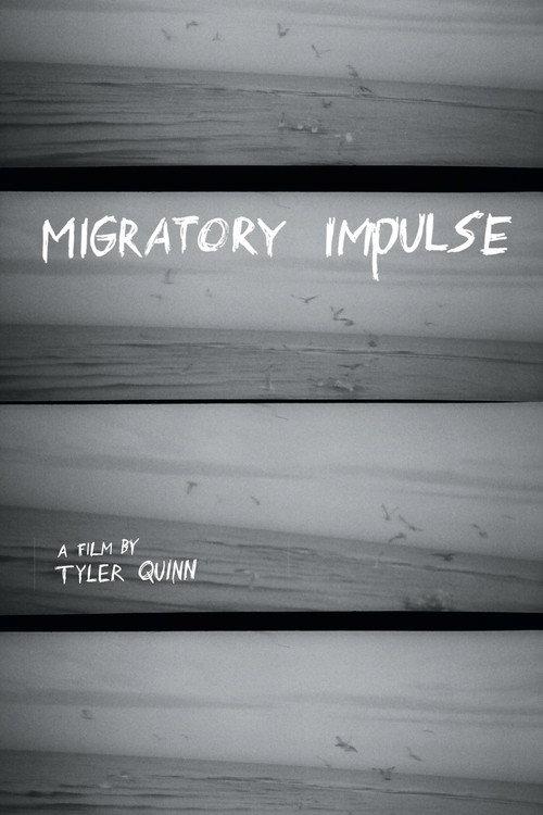 Migratory Impulse 2023 official movie poster