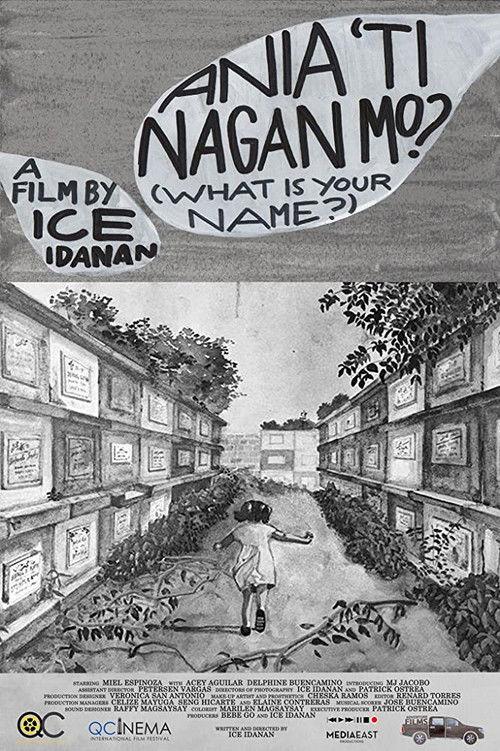 What is Your Name? 2017 official movie poster