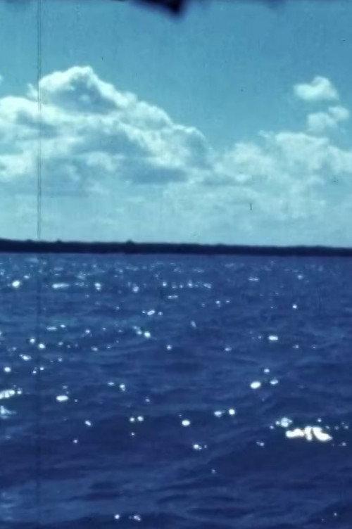 Woman Water Huron Goodbye 1981 official movie poster