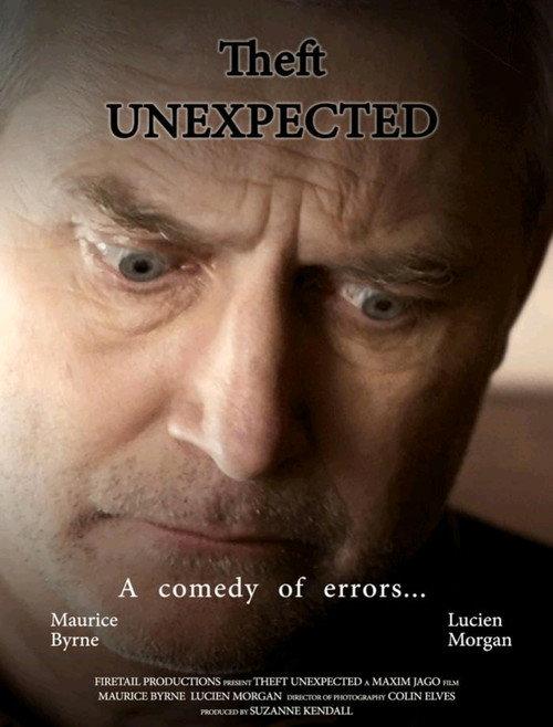 Theft Unexpected 2013 official movie poster