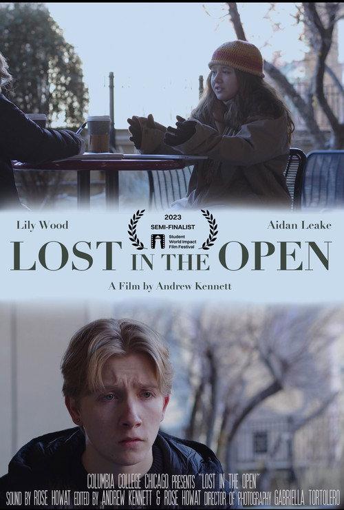 Lost in the Open 2022 official movie poster