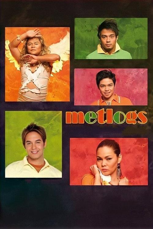 Metlogs (Metrosexual Adventures) 2006 official movie poster