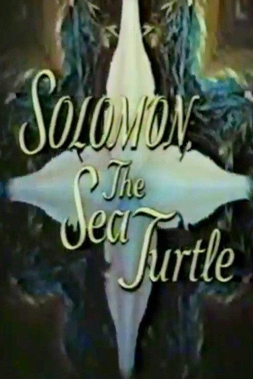 Solomon, the Sea Turtle 1969 official movie poster