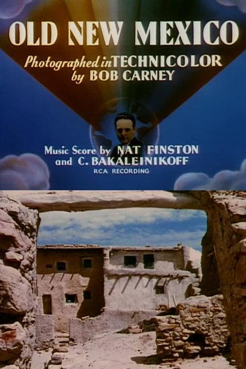Old New Mexico 1940 official movie poster
