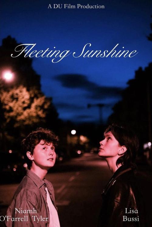 Fleeting Sunshine 2022 official movie poster