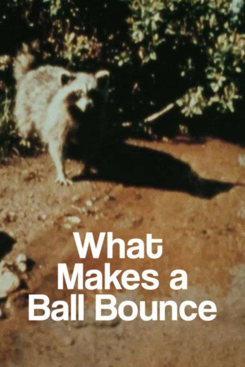 What Makes a Ball Bounce 2023 official movie poster