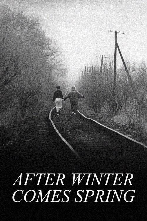 After Winter Comes Spring 1989 official movie poster