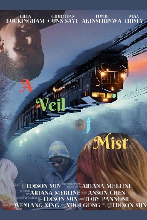 A Veil of Mist 2023 official movie poster
