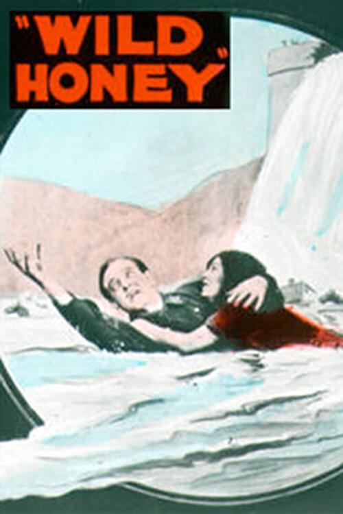Wild Honey 1922 official movie poster