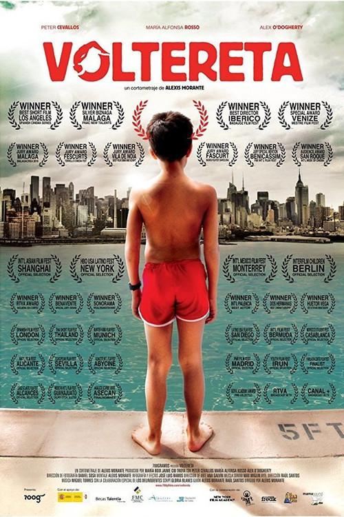 Somersault 2010 official movie poster