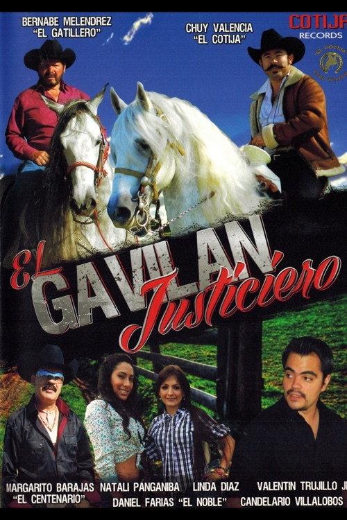 El Gavilan Justiciero 2013 official movie poster