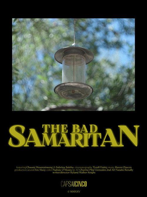 The Bad Samaritan 2026 official movie poster