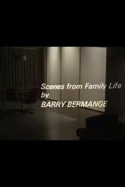 Scenes from Family Life 1969 official movie poster