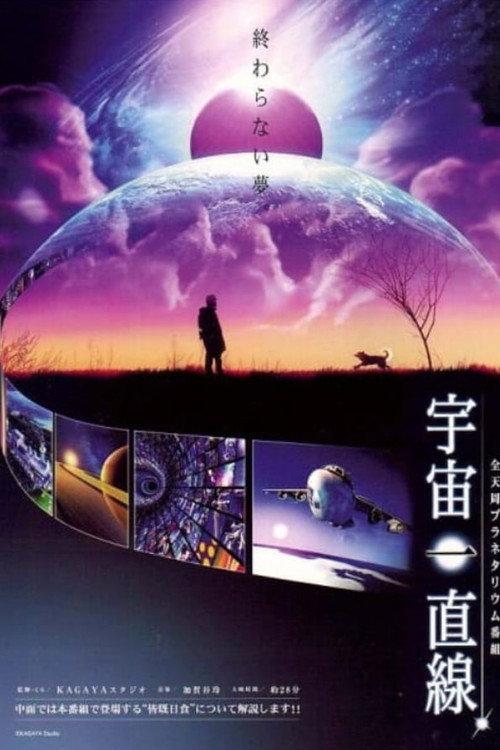 Straight into the Universe 2010 official movie poster