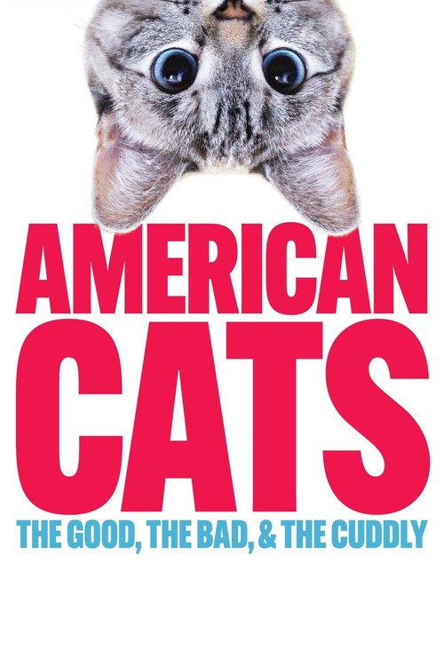 American Cats: The Good, the Bad, and the Cuddly 2024 official movie poster