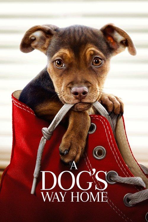 A Dog's Way Home 2019 official movie poster