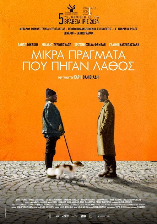Little Things That Went Wrong 2024 official movie poster