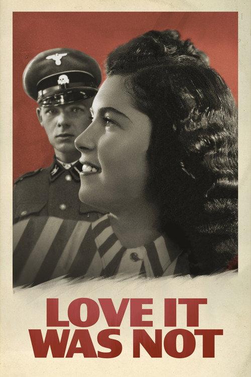 Love It Was Not 2022 official movie poster