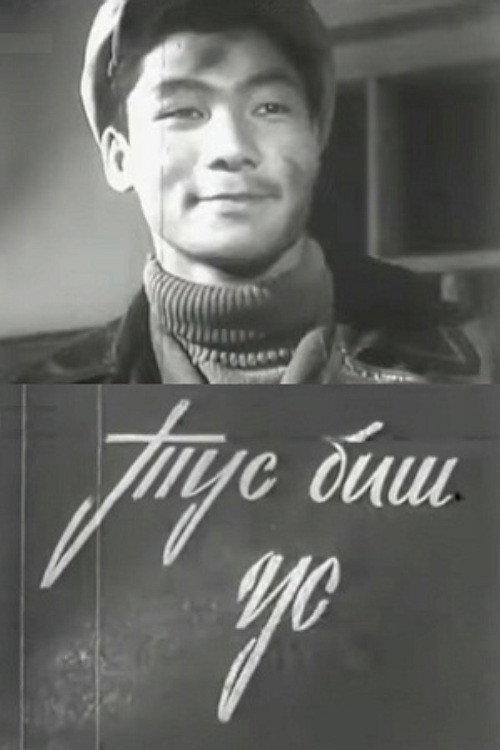 Meddlesome 1964 official movie poster